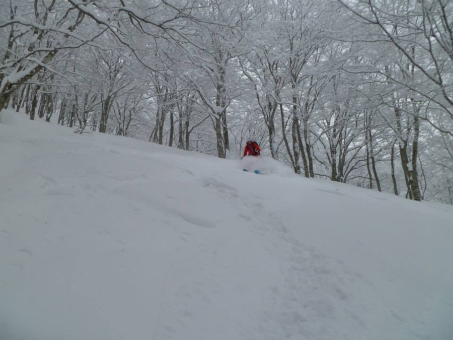 5 sneeuwzekere skigebieden in Japan