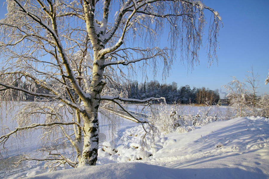 De 4 beste skigebieden in Scandinavië