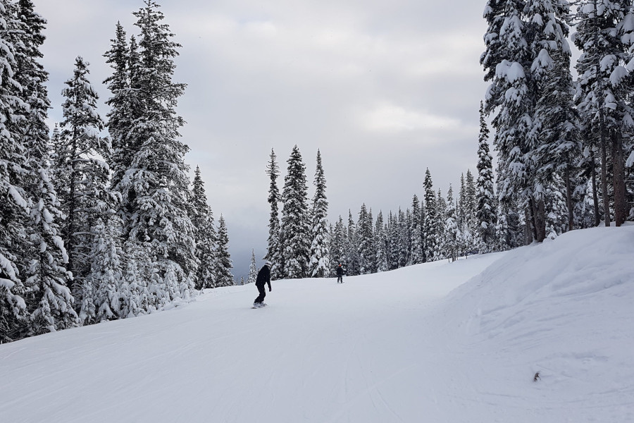 Noord-Amerika sneeuw